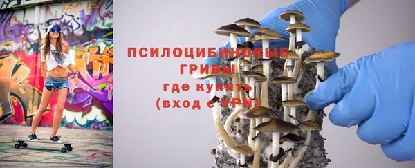 СК Абинск