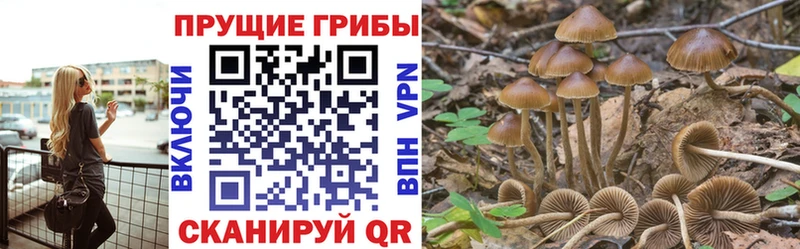 Галлюциногенные грибы Magic Shrooms  даркнет сайт  Тутаев 