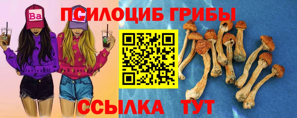 Тутаев  Псилоцибиновые грибы прущие грибы  Вход с VPN 