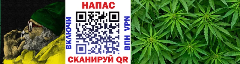 Каннабис MAZAR Тутаев