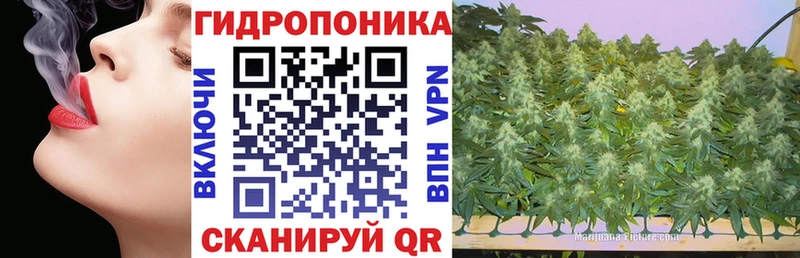 Каннабис VHQ  купить  сайты  Тутаев 